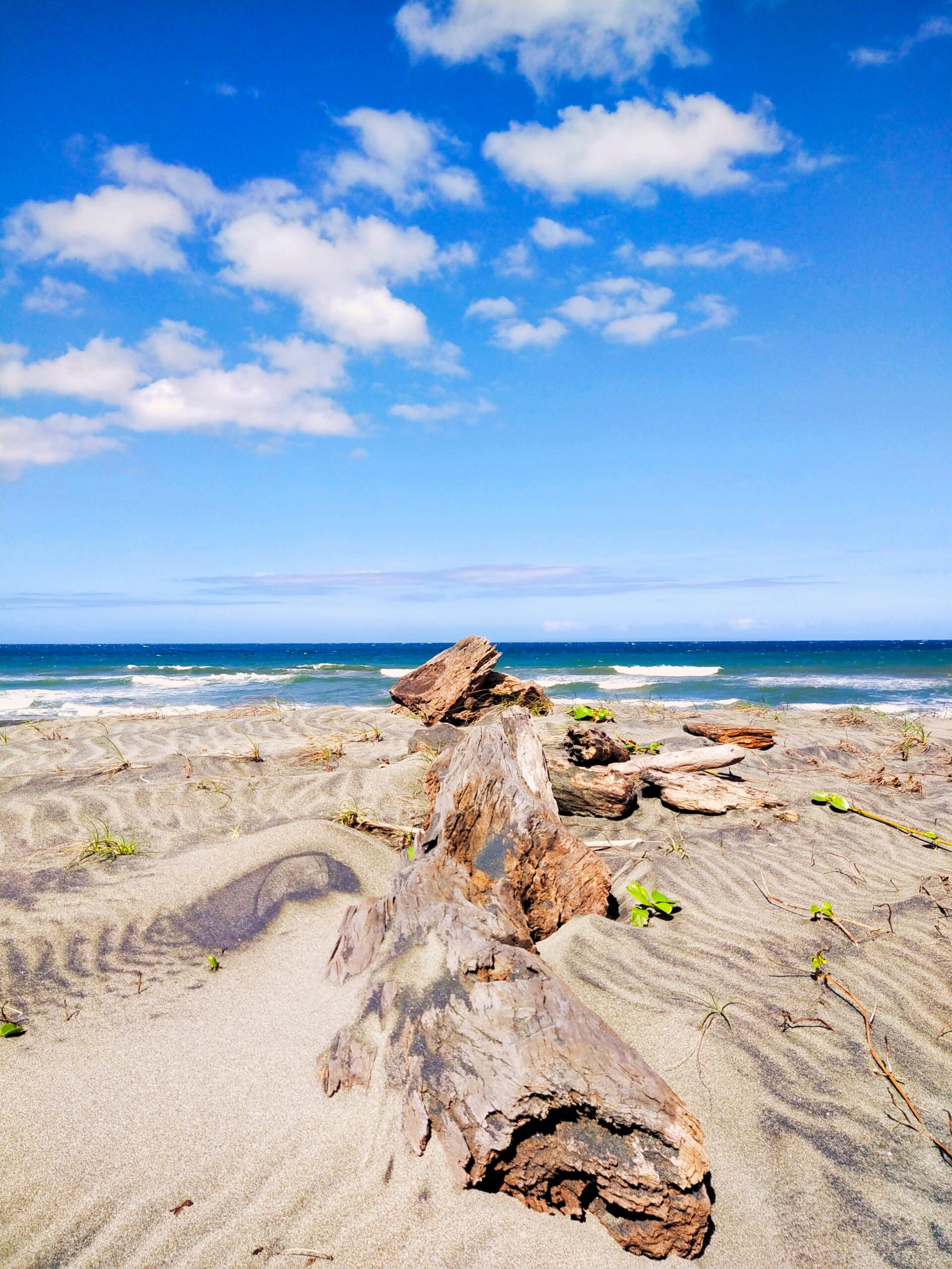 a beach with rocks and water in the background