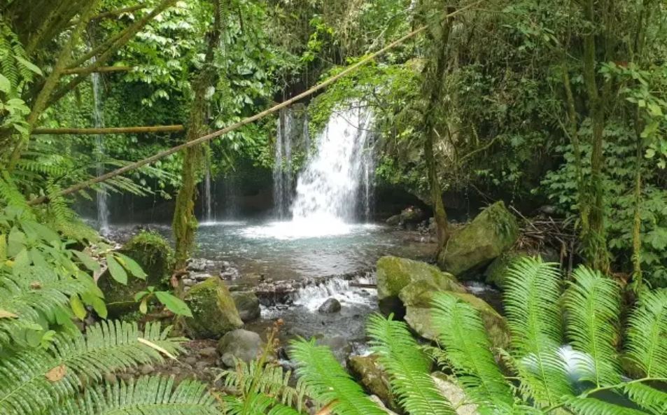 Air Terjun Yeh Ho: Petualangan Seru Menyusuri Keindahan Alam