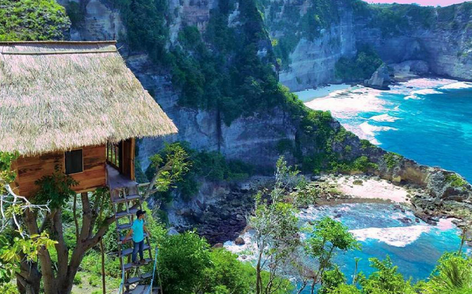 Reasons to Book Tree House Nusa Penida for Your Bali Adventure