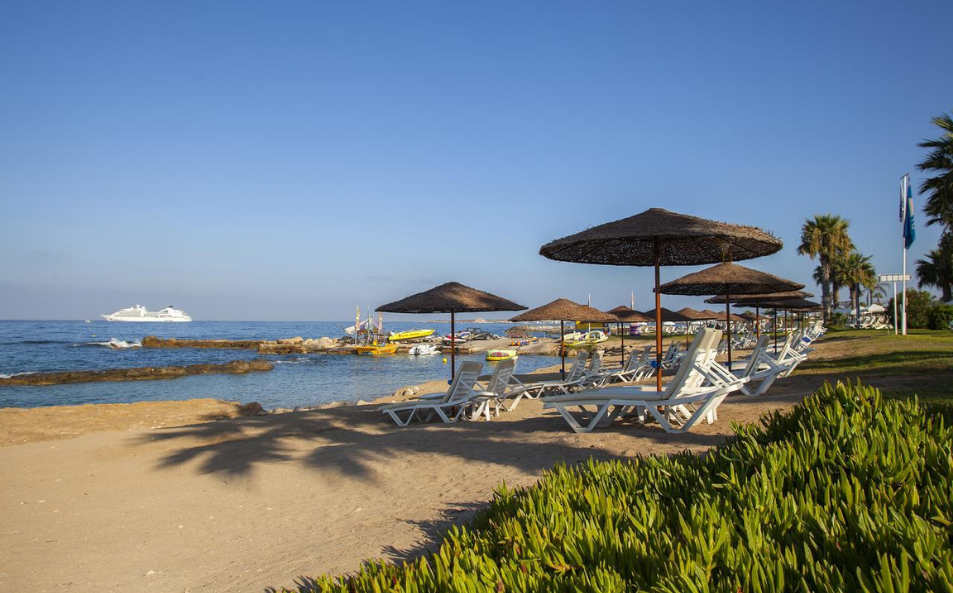Louis Imperial Beach Your Ultimate Guide to a Dream Vacation